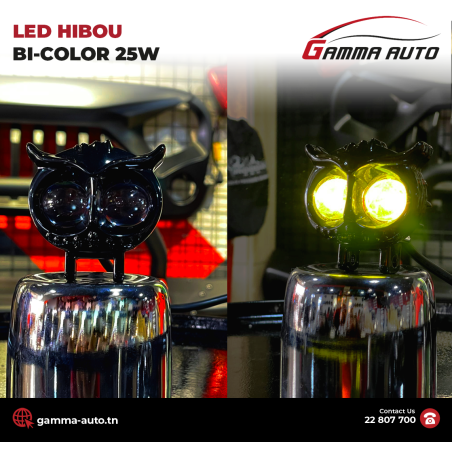 Hibou LED BE-COLOR 25W