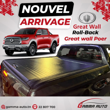 ROLLBACK  GREAT WALL POER  + LOCK