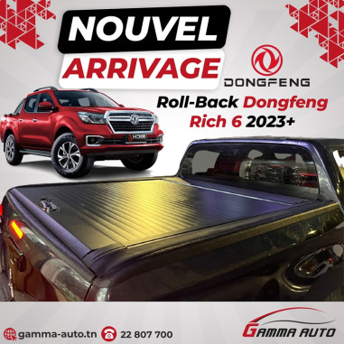 ROLLBACK  DONGFONG RICH 6 2023+   + LOCK