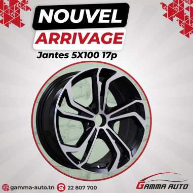 4 Jantes Alu 17 pouces 5x100