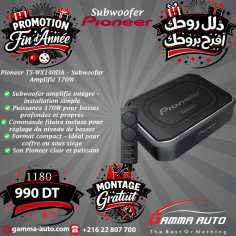 Subwoofer avec Amplificateur + Commande Ts-WX140DA  (170W)