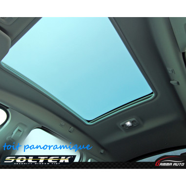 Toit Panoramique Carbon Plus (Autre que 4X4)