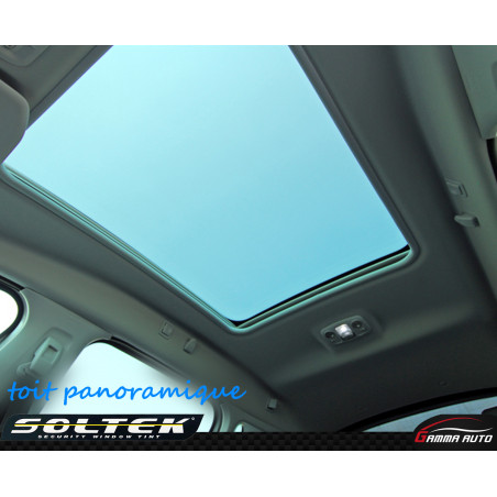 Toit Panoramique Carbon Plus (Autre que 4X4)