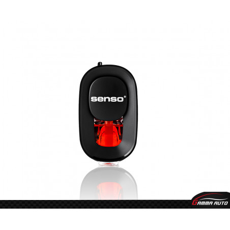 Elipse Oriental Garden Drmarcus