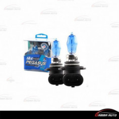 Lampe Pegasus H11 Xenon 12V