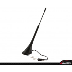 Antenne Arr Universel