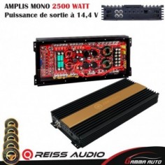 AMPLIS MONO 2500 WATT